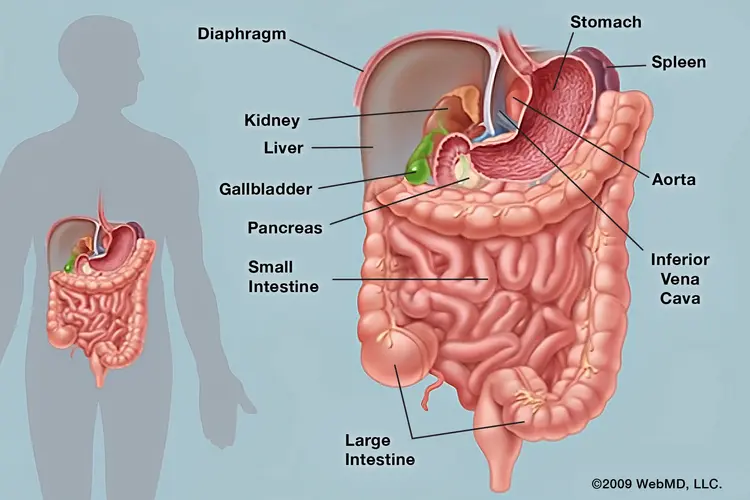 digestive problems in Hyderabad