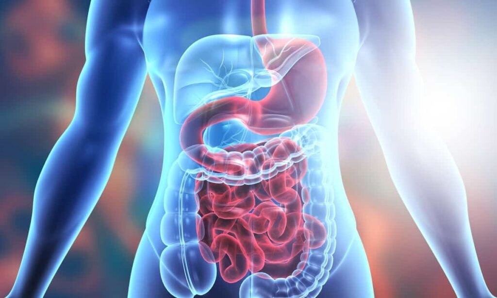 gut health specialist in Hyderabad 