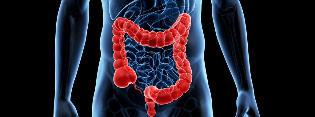 How does anxiety affect gut health?